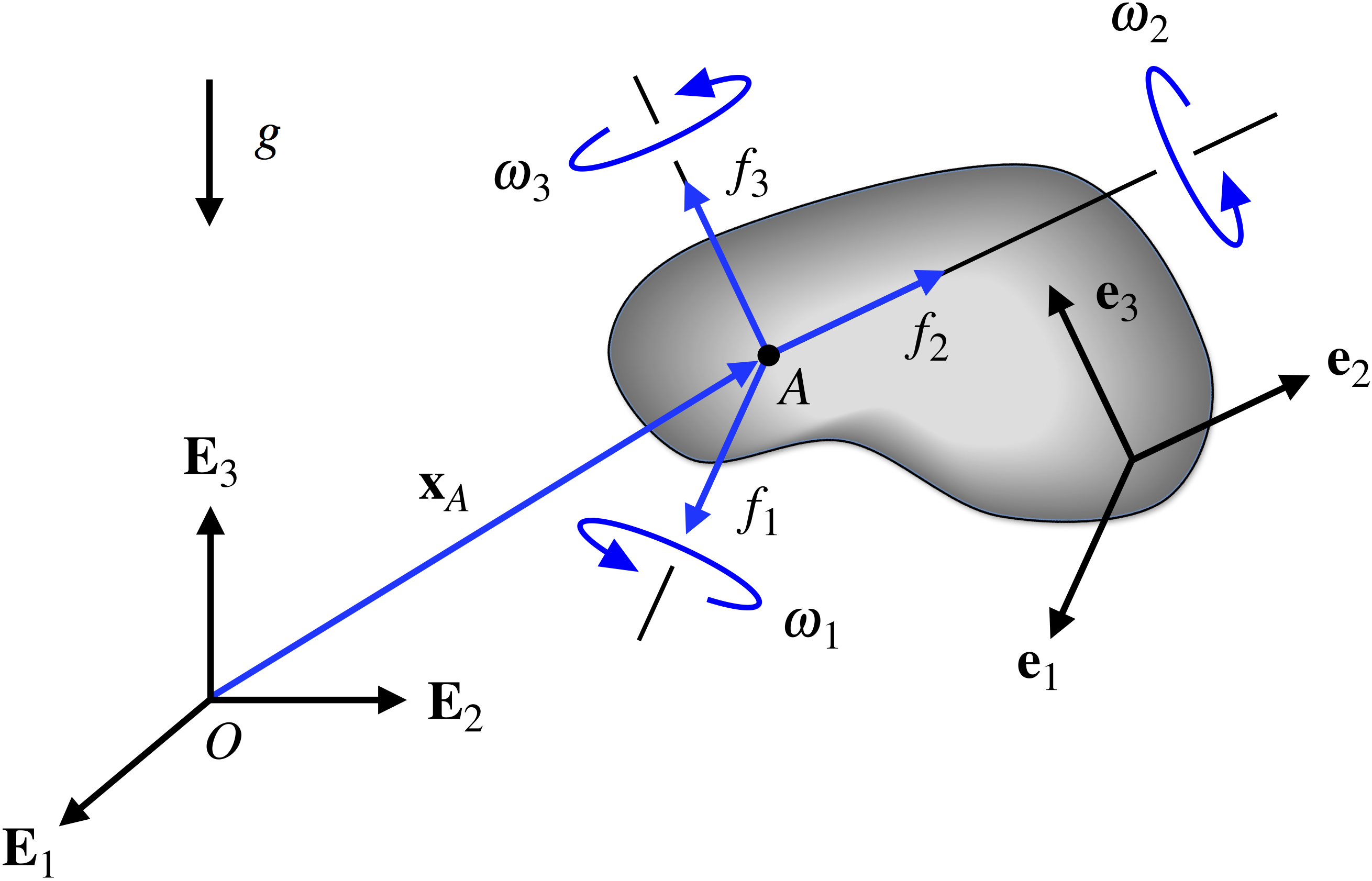 Definition of terminology and axis